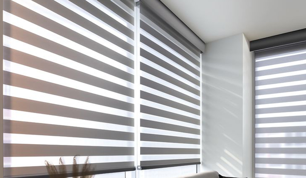 Zebra Blinds in Delhi